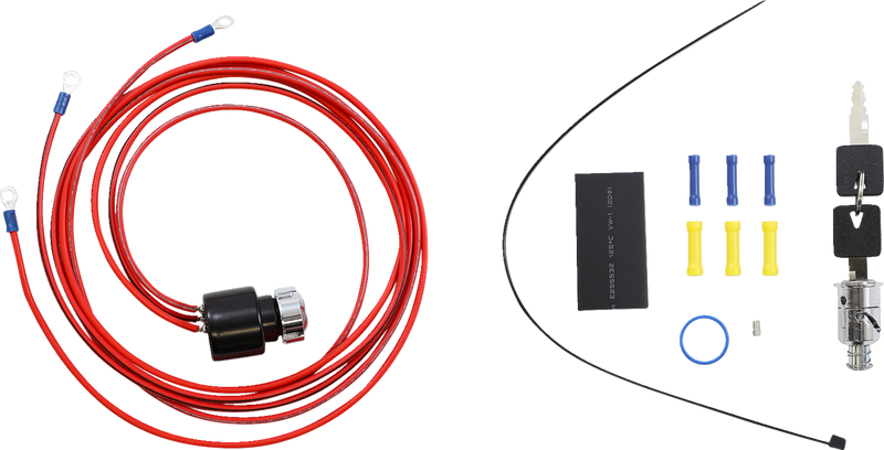 IGNITION SWITCHES WITH KEYS (MULTIPLE MODELS)