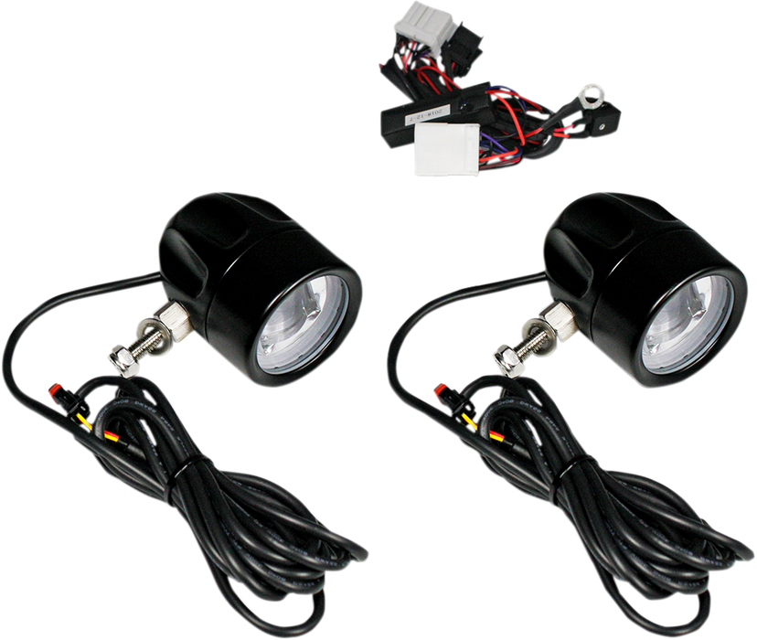Fog Light - Black - Clear Lens