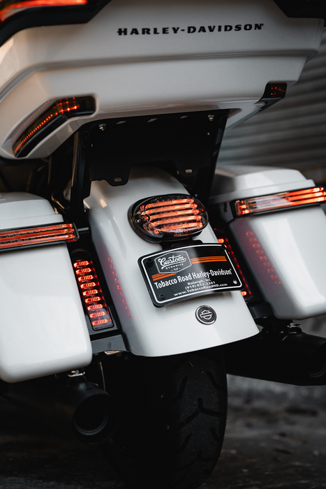 Taillight - with Bottom License Plate Illumination Window - Smoke