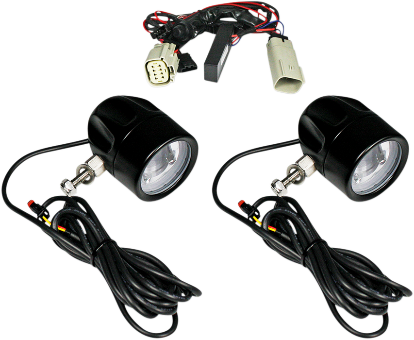 Fog Light - Black - Clear Lens