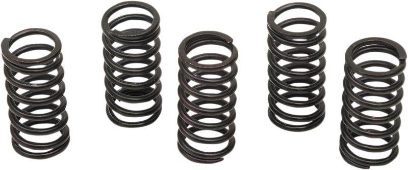 Clutch Spring Kit