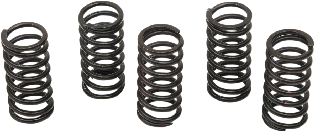 Clutch Spring Kit — Ramjet Racing