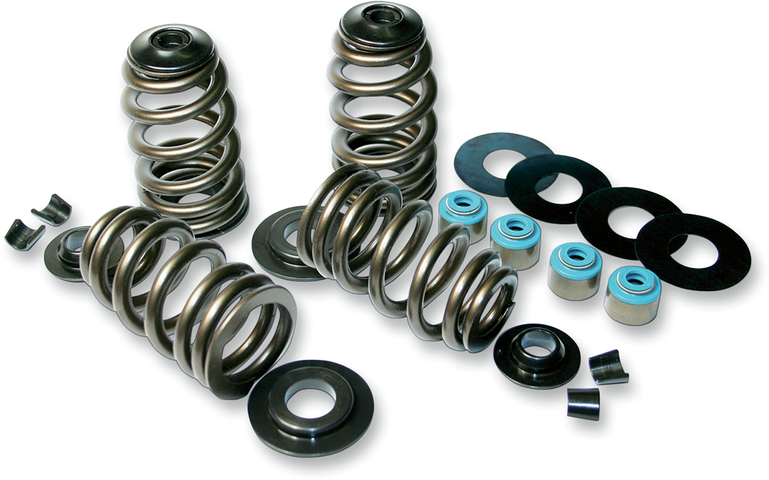 Feuling Econo Valve Spring kits