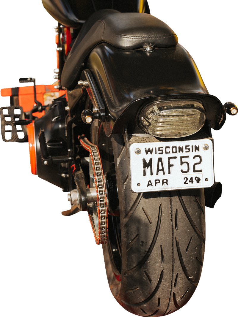 Taillight - with License Plate Illumination Window - Smoke
