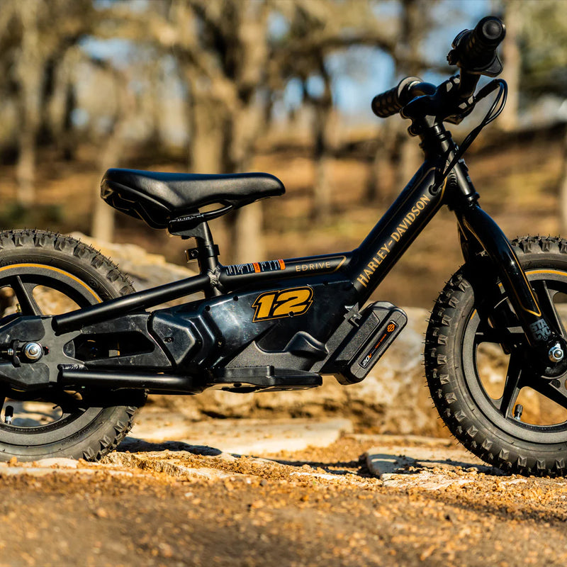 Stacyc 12eDrive *Harley Davidson*