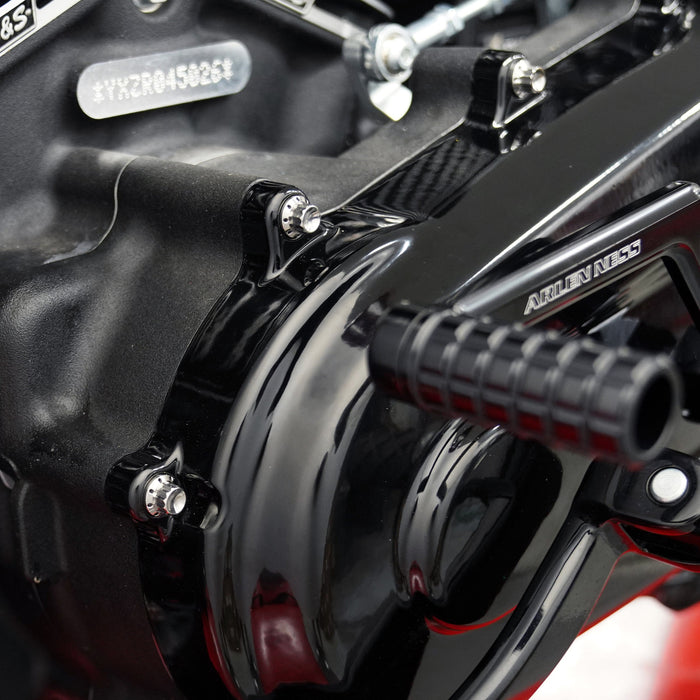 Primary Cover Titanium 12-Point Bolt Kits, Polished