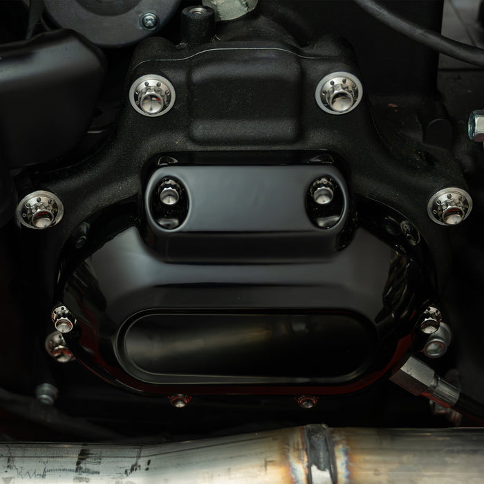 Titanium 12-Point Trap Door Bolt Kit, Polished