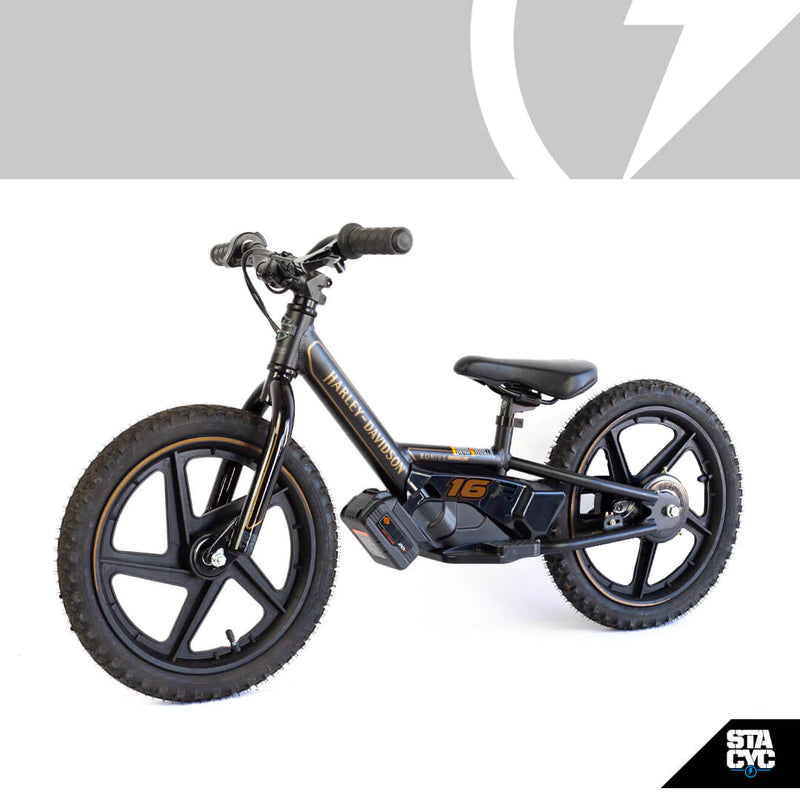 Stacyc 16eDrive *Harley Davidson*