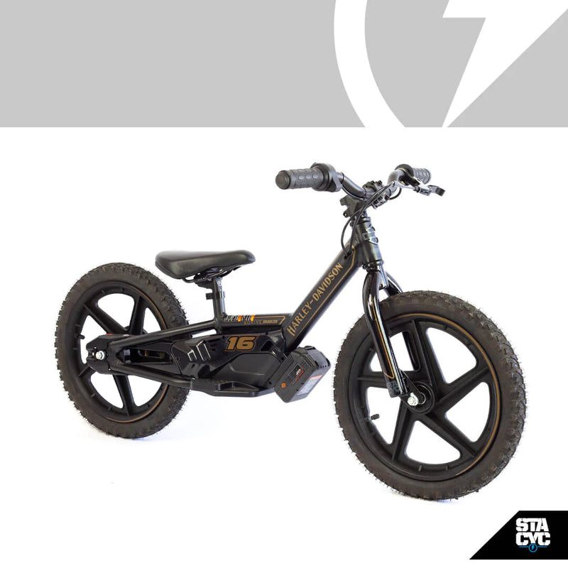 Stacyc 16eDrive *Harley Davidson*