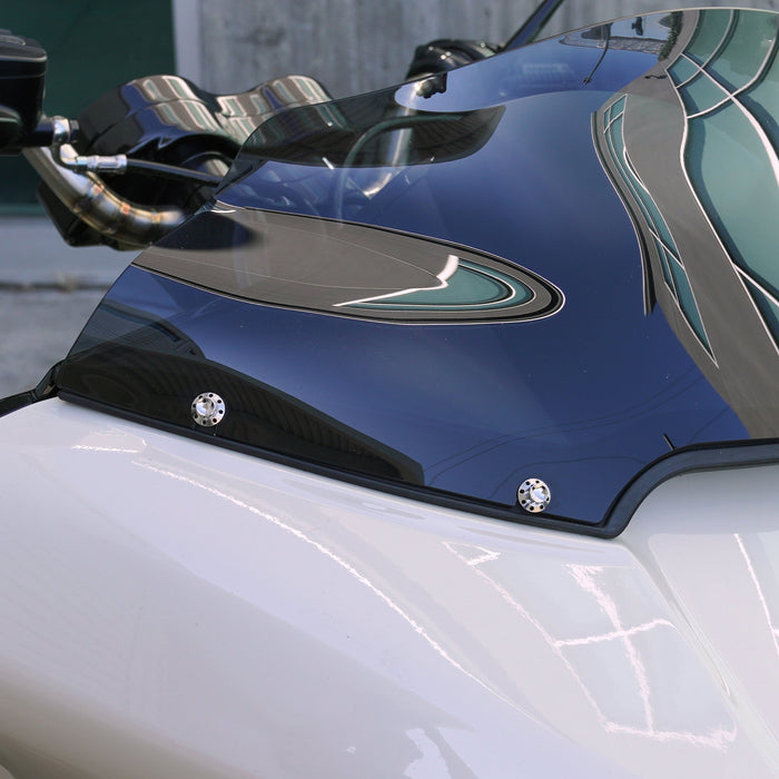 Titanium 12-Point Windshield Bolts for Road Glide, Polished