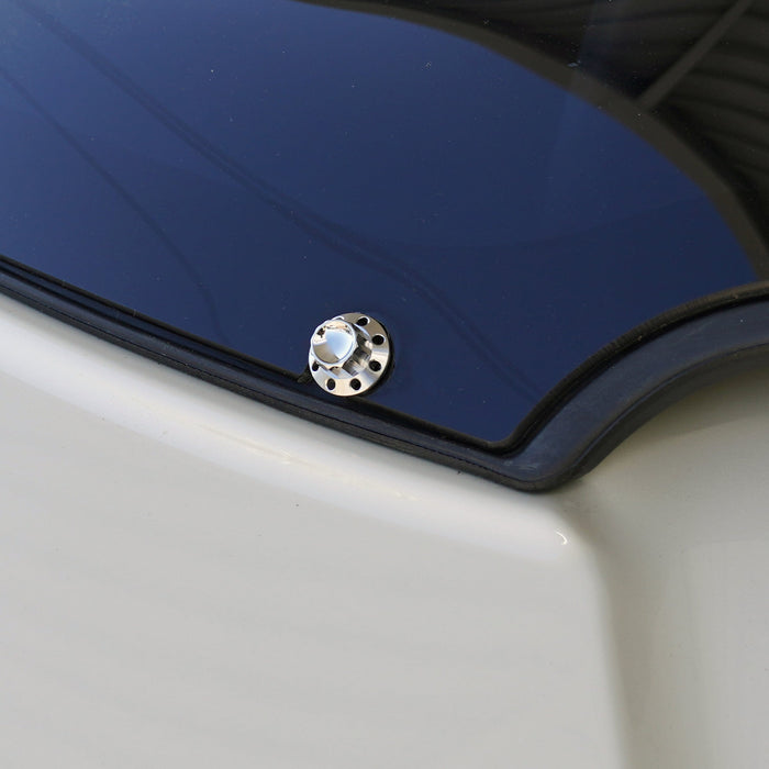 Titanium 12-Point Windshield Bolts for Road Glide, Polished