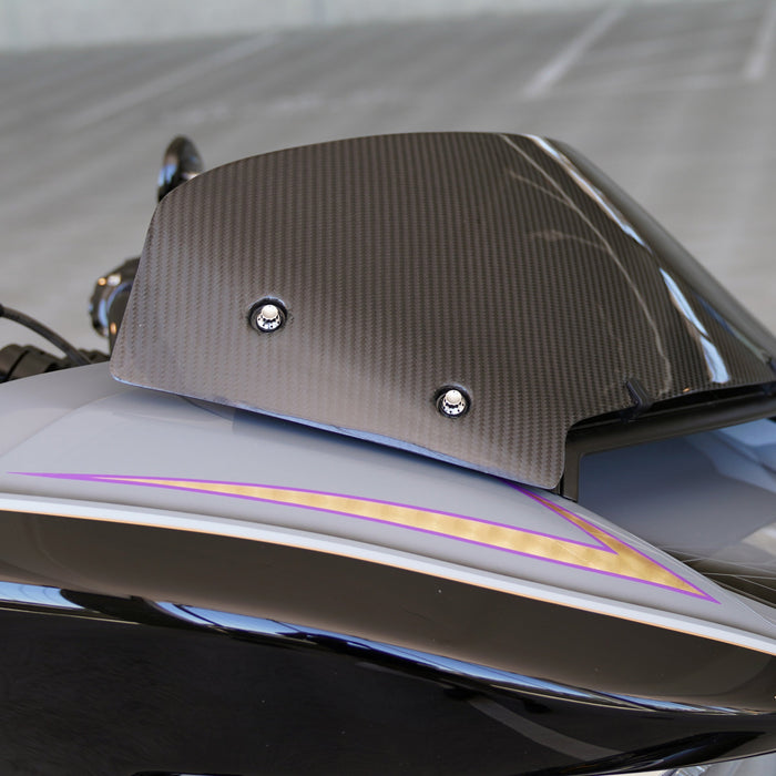 Titanium 12-Point Windshield Bolts for Road Glide, Polished