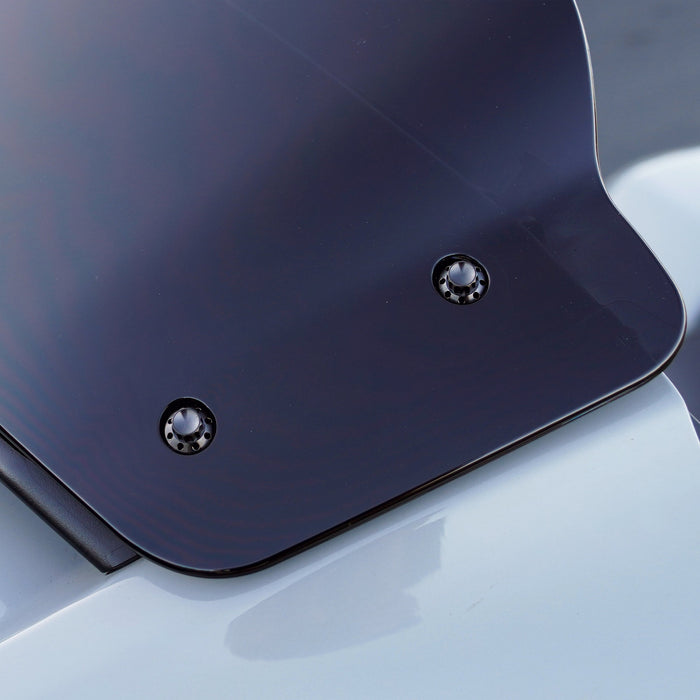 Titanium 12-Point Windshield Bolts for Street Glide, Black