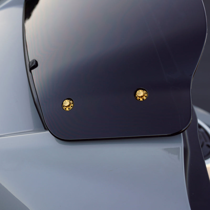 Titanium 12-Point Windshield Bolts for Street Glide, Gold
