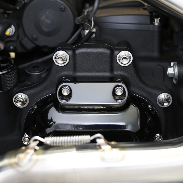 Titanium 12-Point Transmission Side Cover Bolt Kit, Polished