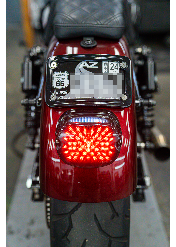 NIGHT PROWLER LED INTEGRATED TAILLIGHT *NEW AND IMPROVED*