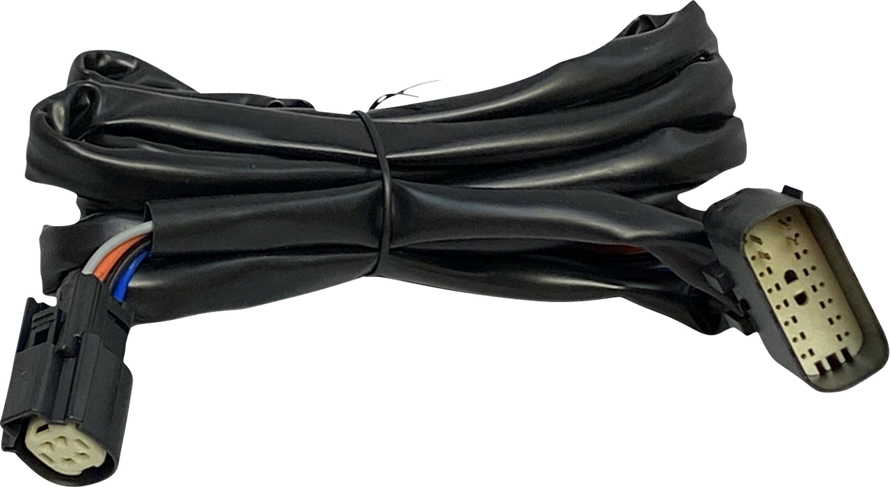 Harness - Rear Speakers - Tour-Pak