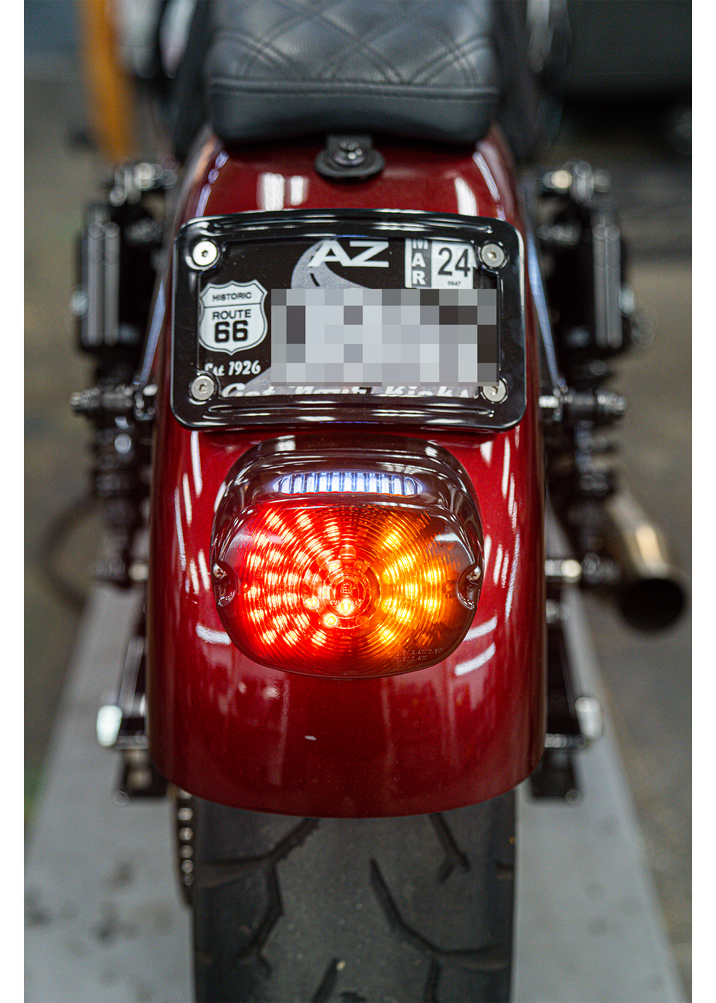 NIGHT PROWLER LED INTEGRATED TAILLIGHT *NEW AND IMPROVED*