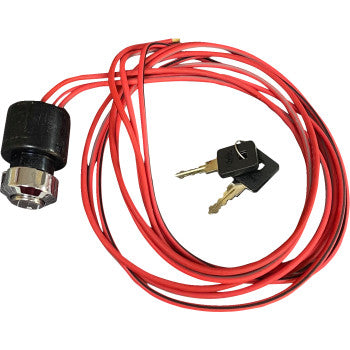 IGNITION SWITCHES WITH KEYS (MULTIPLE MODELS)