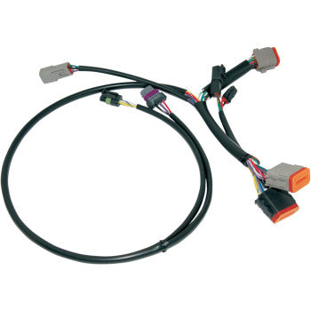 Twin Cam Complete Ignition wire harnesses