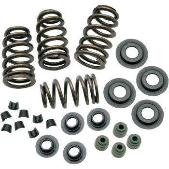 S&S SIDEWINDER .650" LIFT VALVE SPRINGS