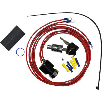 IGNITION SWITCHES WITH KEYS (MULTIPLE MODELS)