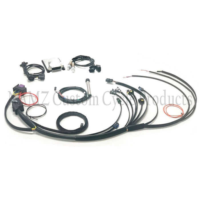 Complete Stand Alone EFI Engine Management System (Twin cam)