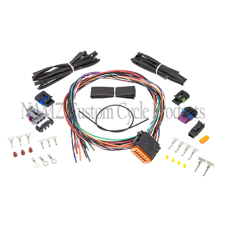 Twin Cam Complete Ignition wire harnesses