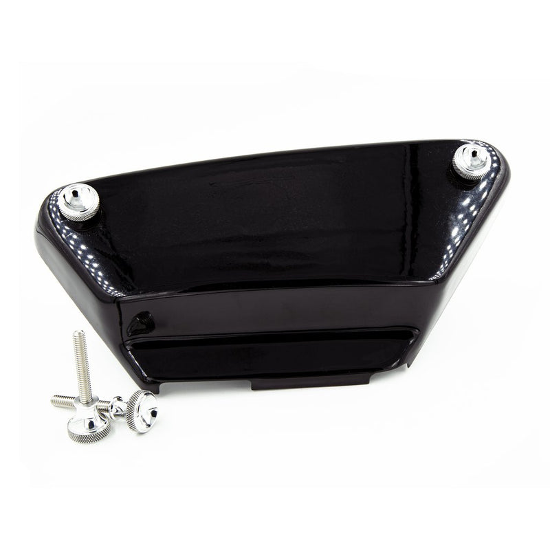 POWERPLANT CYCLES- FXR SIDE COVER QUICK SET SCREW SET