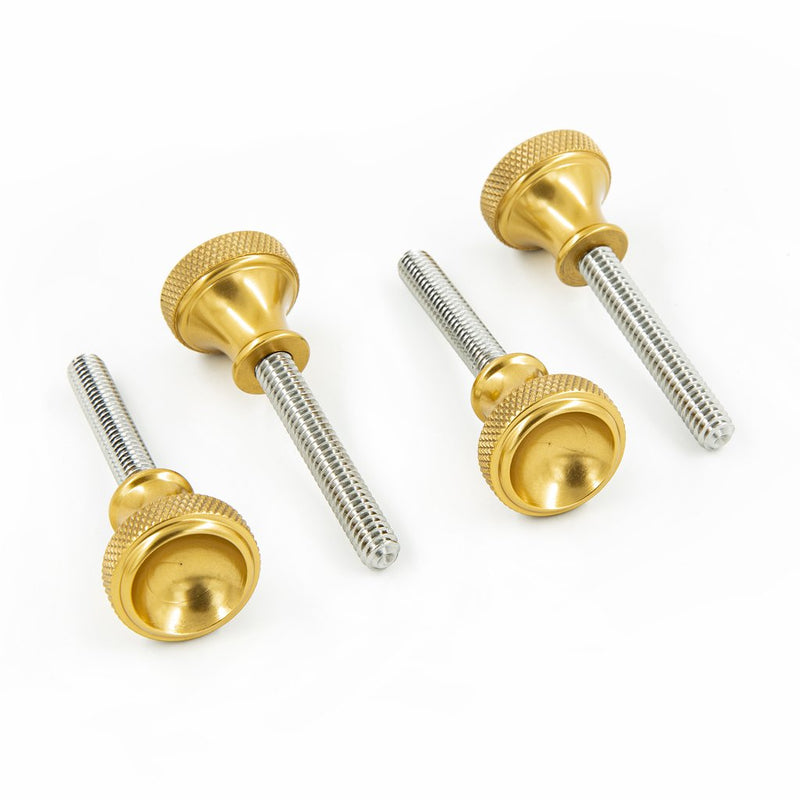 POWERPLANT CYCLES- FXR SIDE COVER QUICK SET SCREW SET