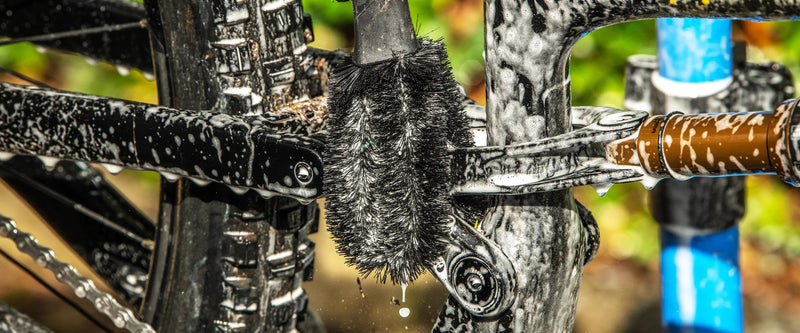 TWO PRONG BRUSH